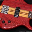画像8: Aria Pro II　1983 SB-R60 PR [Padauk Red] [中古品] (8)