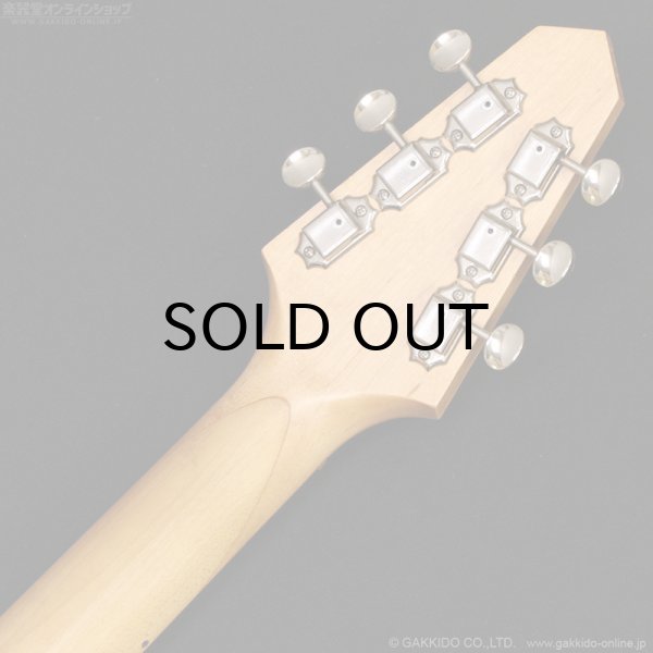 画像16: Rick Turner Guitars　1999 RS-6 Custom “Rosewood” [中古品] (16)