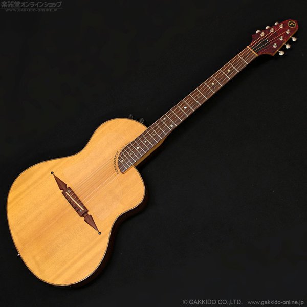 画像1: Rick Turner Guitars　1999 RS-6 Custom “Rosewood” [中古品] (1)
