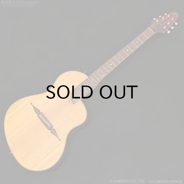 画像1: Rick Turner Guitars　1999 RS-6 Custom “Rosewood” [中古品] (1)