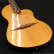 画像4: Rick Turner Guitars　1999 RS-6 Custom “Rosewood” [中古品] (4)