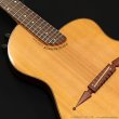 画像10: Rick Turner Guitars　1999 RS-6 Custom “Rosewood” [中古品] (10)