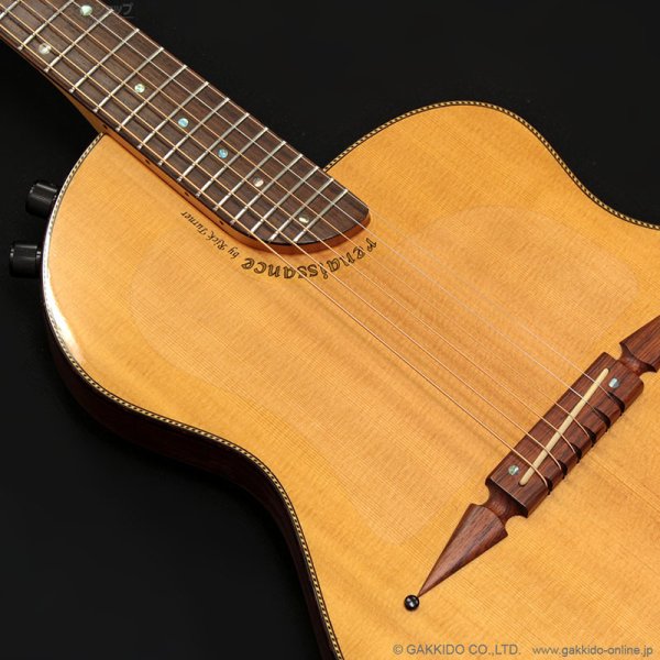 画像10: Rick Turner Guitars　1999 RS-6 Custom “Rosewood” [中古品] (10)