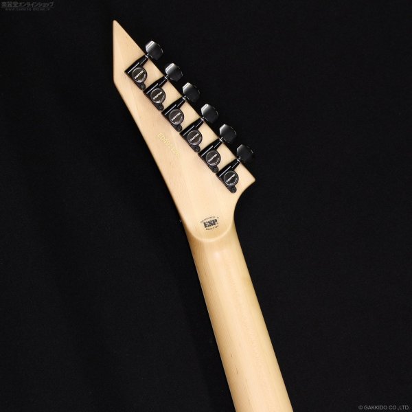 画像7: Edwards　E-ALEXI PINK SAWTOOTH (7)