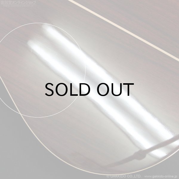 画像10: YAMAHA　LL16 ARE [アウトレット特価品] (10)
