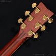 画像8: YAMAHA　LL16 ARE [アウトレット特価品] (8)