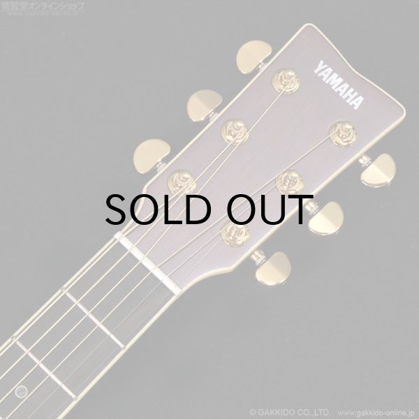 画像7: YAMAHA　LL16 ARE [アウトレット特価品] (7)