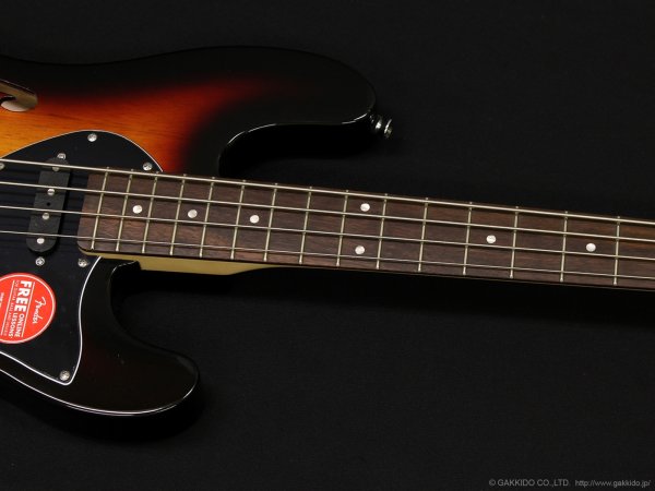 画像4: Squier　Paranormal Precision Bass Thinline SJ [3-Tone Sunburst] (4)