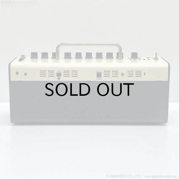 画像3: YAMAHA　THR10 (V.2) ギターアンプ コンボ [中古品] (3)