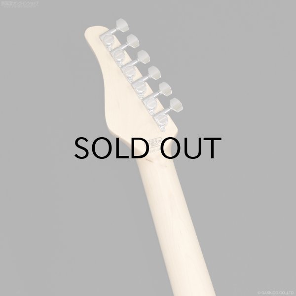 画像6: SCHECTER　SD-2-24-AL BLU/M [See-thru Blue] (6)
