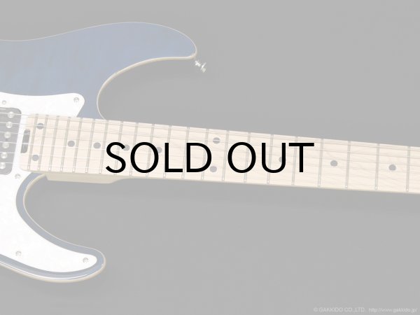 画像4: SCHECTER　SD-2-24-AL BLU/M [See-thru Blue] (4)