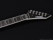 画像6: Edwards　E-ALEXI SCYTHE [White with Black Pin Stripe] (6)