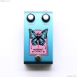 画像2: Collateral FX　Morpho Chorus (2)