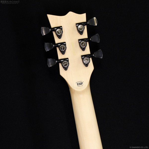 画像6: Edwards　E-VIPER-1H ABK [Alternative Black] (6)