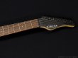 画像5: Schecter　OL-NV-7-2H-FXD Black Metallic [中古] (5)