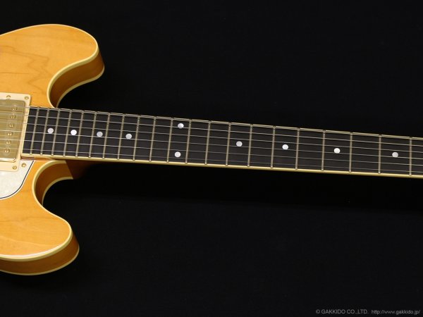 画像4: Aria Pro II　TA-TONIC AMB [Amber] (4)