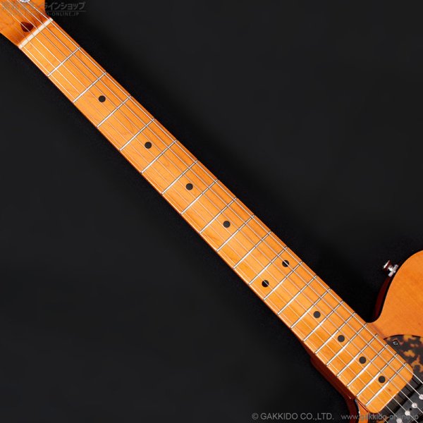 画像10: H.S.Anderson　2024 HS-1 LH Mad Cat [左利き用モデル] [中古品] (10)