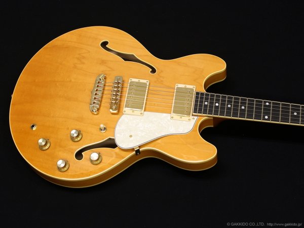 画像3: Aria Pro II　TA-TONIC AMB [Amber] (3)