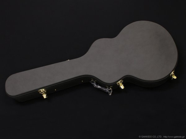 画像11: Aria Pro II　TA-TONIC AMB [Amber] (11)