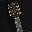 画像6: Aria Pro II　TA-TONIC LPBL [Lake Placid Blue] (6)
