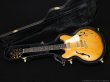 画像12: Aria Pro II　TA-TONIC AMB [Amber] (12)