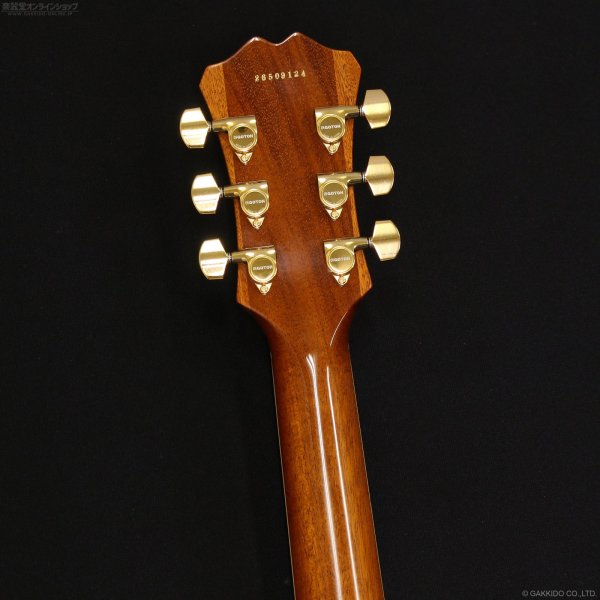 画像7: Aria Pro II　TA-TONIC AMB [Amber] (7)
