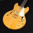 画像2: Aria Pro II　TA-TONIC AMB [Amber] (2)
