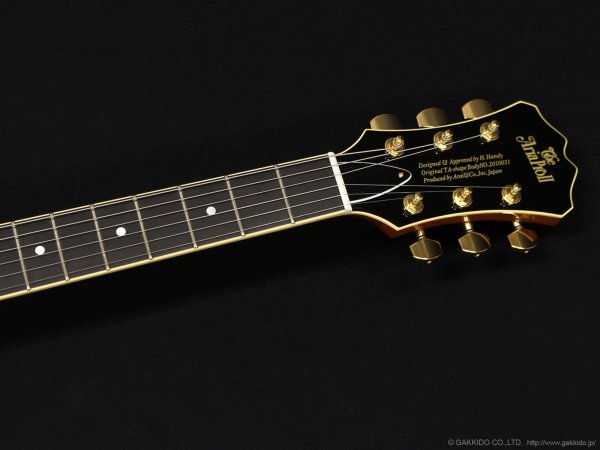 画像5: Aria Pro II　TA-TONIC AMB [Amber] (5)
