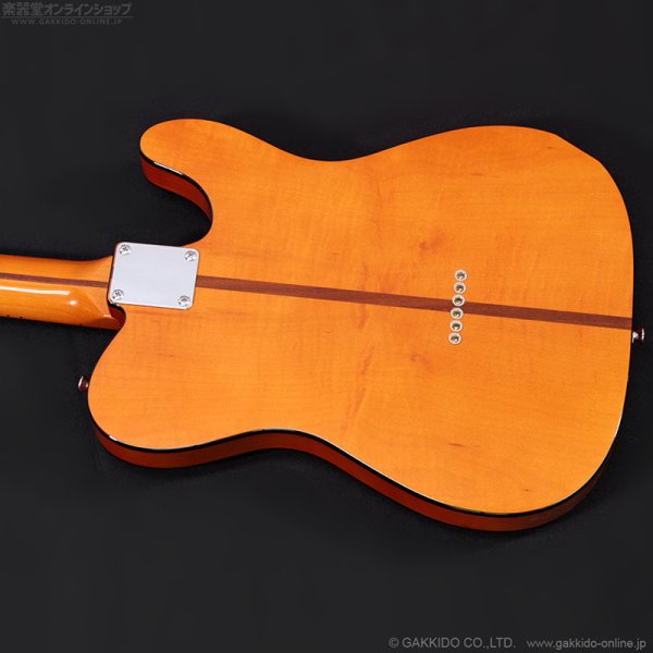 画像20: H.S.Anderson　2024 HS-1 LH Mad Cat [左利き用モデル] [中古品] (20)