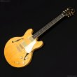 画像1: Aria Pro II　TA-TONIC AMB [Amber] (1)