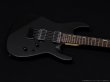 画像3: GrassRoots　G-M-II-FX [Black Satin] (3)
