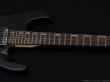 画像4: GrassRoots　G-M-II-FX [Black Satin] (4)