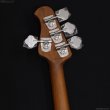 画像7: Sterling by Music Man　StingRay Ray34 Ash [Natural] [日本限定モデル] (7)