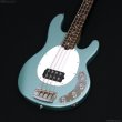 画像2: Sterling by Music Man　StingRay Ray34 [Dorado Green] (2)