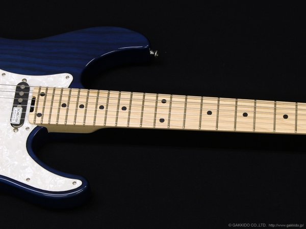 画像4: SCHECTER　BH-1-STD-24 [Deep Blue] (4)