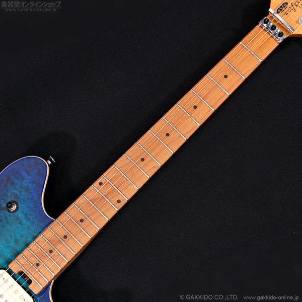 画像8: EVH　2023 Wolfgang Special QM，Baked Maple Fingerboard [Chlorine Burst] [中古品] (8)