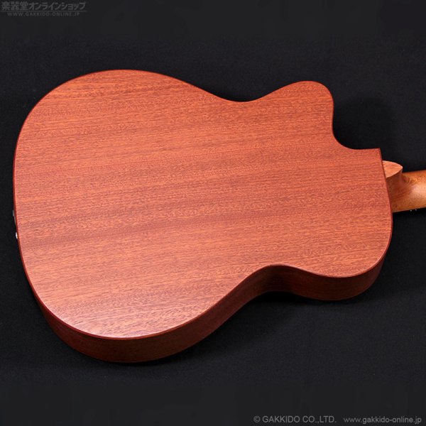 画像10: Martin　000C Jr E (10)