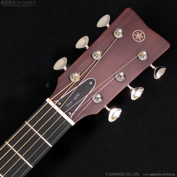 画像10: YAMAHA　2019 FGX3 [中古品] (10)
