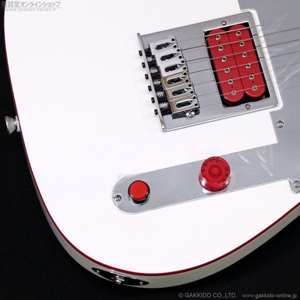 画像4: Fender　John 5 Ghost Telecaster (4)