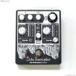 画像3: Earthquaker Devices　Data Corrupter (3)