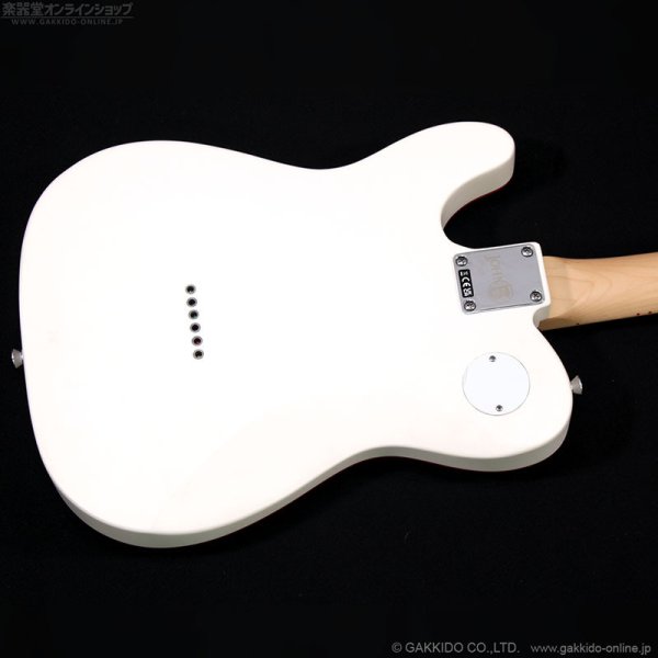 画像12: Fender　John 5 Ghost Telecaster (12)