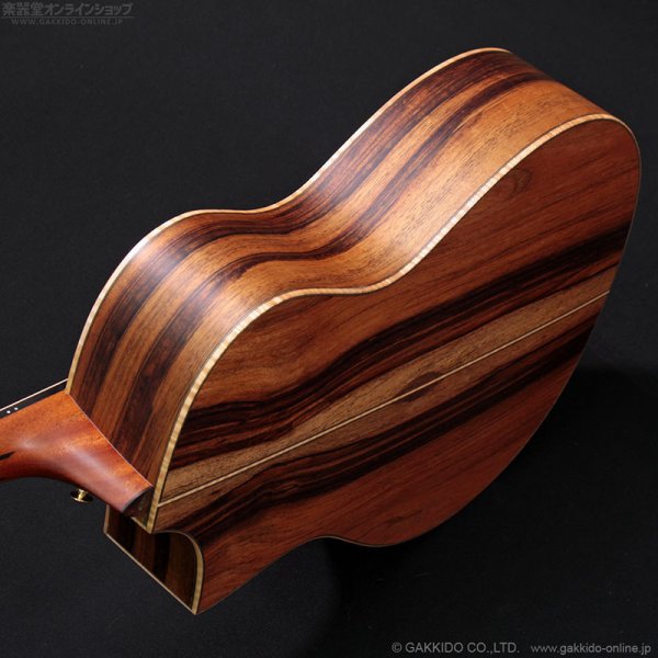 画像5: Bromo Guitars　BAR4GCE (5)