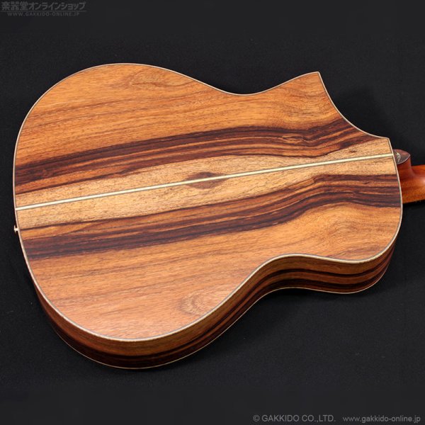 画像14: Bromo Guitars　BAR4GCE (14)