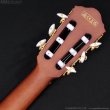 画像6: Ibanez　FRH10N NTF [Natural Flat] (6)