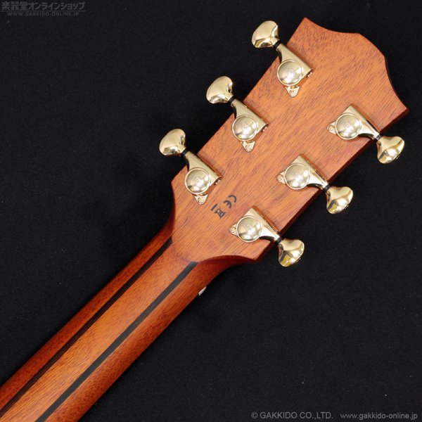 画像11: Bromo Guitars　BAR4GCE (11)