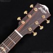 画像10: Bromo Guitars　BAR4GCE (10)