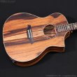 画像2: Bromo Guitars　BAR4GCE (2)