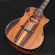 画像3: Bromo Guitars　BAR4GCE (3)