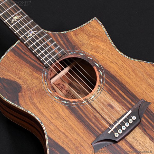画像7: Bromo Guitars　BAR4GCE (7)