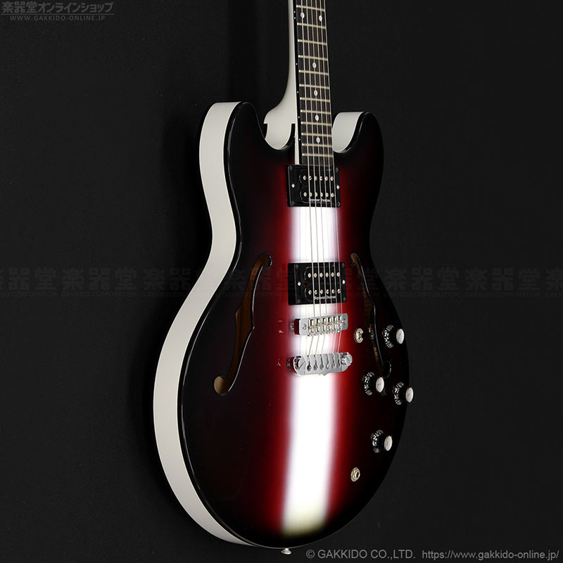 【希少】Aria proⅡ AWルーク篁　PV使用タイプ 希少】Aria proⅡ AWルーク篁 PV使用タイプ（お値下げ）